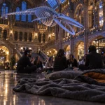 Nuit des musées Londres : visite nocturne près de la baleine bleue au musée